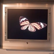 120612DesignMiami.094